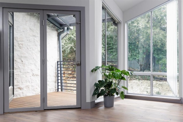 doorway to outside featuring wood finished floors and a healthy amount of sunlight