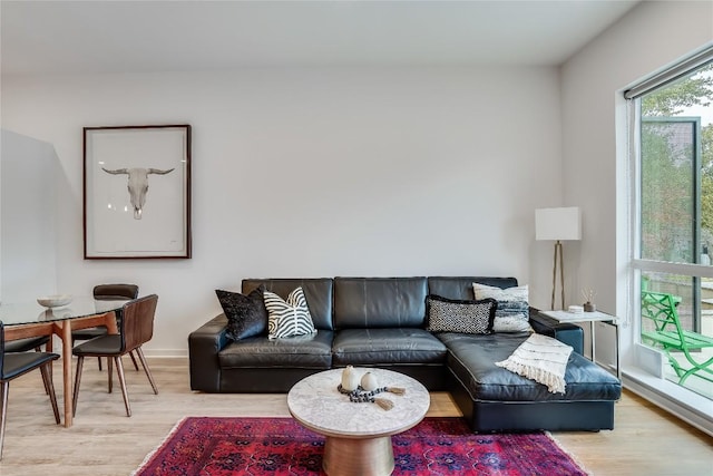 living room with wood finished floors