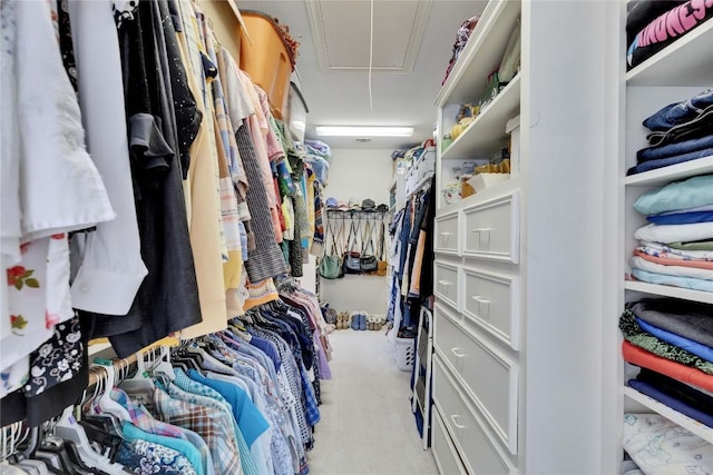 681 Leisure Ln, Cedar Creek, TX 78612 - spacious closet featuring attic access and carpet