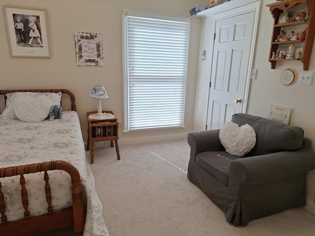bedroom with carpet