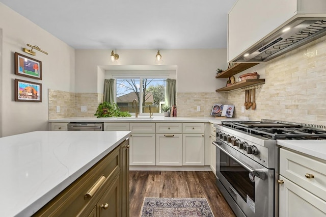 kitchen with custom range hood, a sink, dark wood-style floors, appliances with stainless steel finishes, and decorative backsplash