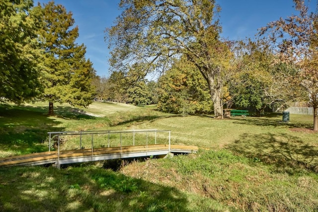 view of community featuring a yard