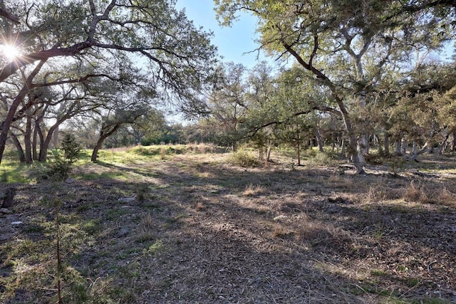 view of landscape