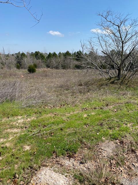 123 Lariat Ct, Bastrop TX, 78602 land for sale