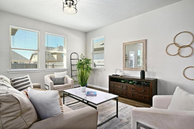 living area featuring baseboards and wood finished floors