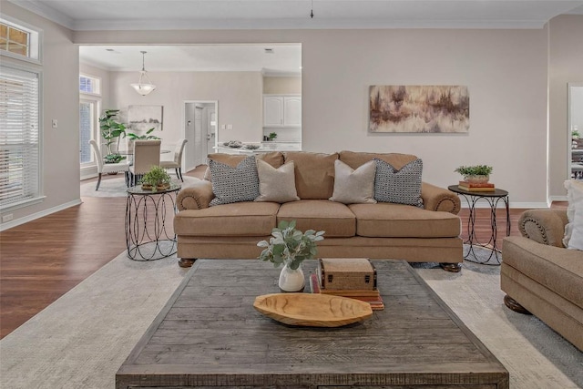 living room featuring crown molding, wood finished floors, and baseboards