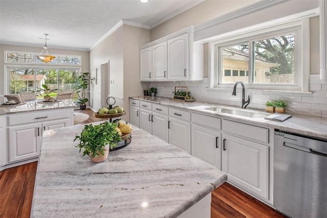 kitchen with white cabinetry, dark wood-style flooring, a sink, dishwasher, and backsplash