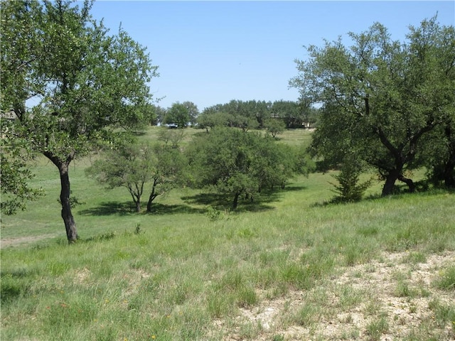 Listing photo 2 for 113 Quail Pt, Spicewood TX 78669