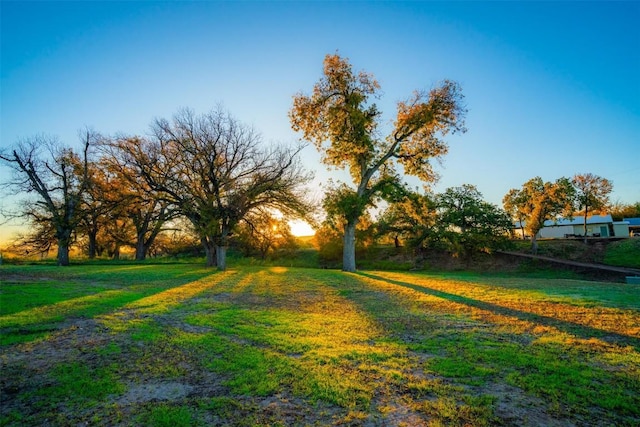 view of community featuring a lawn