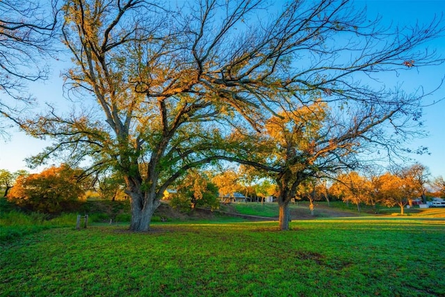 view of home's community featuring a yard