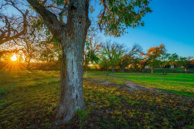 surrounding community with a lawn