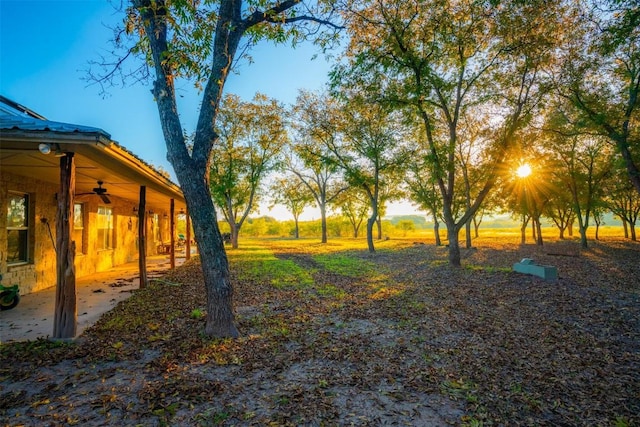 view of yard featuring a patio and ceiling fan