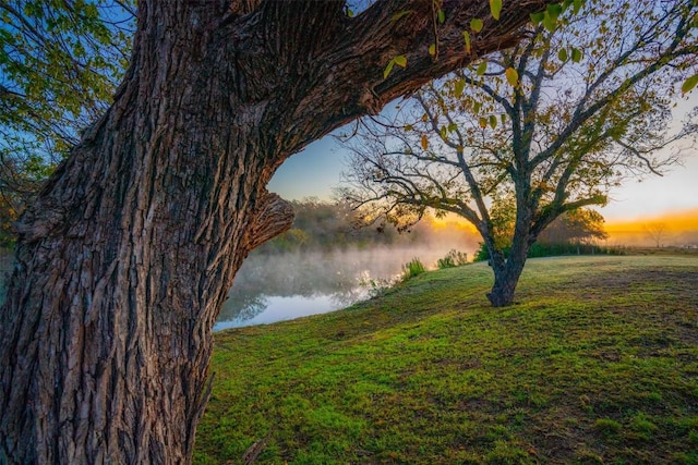 water view