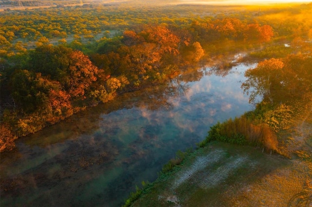 aerial view with a wooded view and a water view