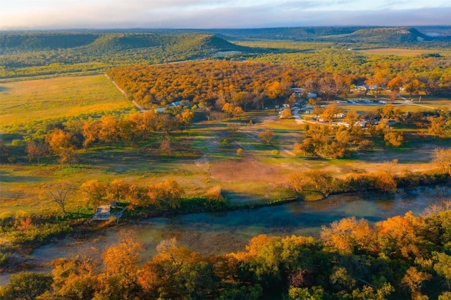 drone / aerial view with a wooded view