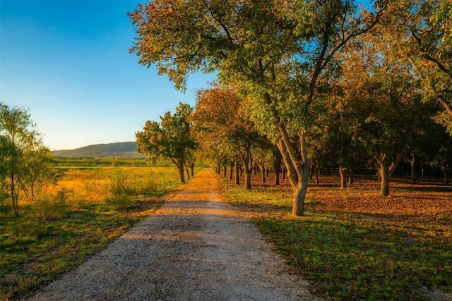 view of street with a rural view and a mountain view