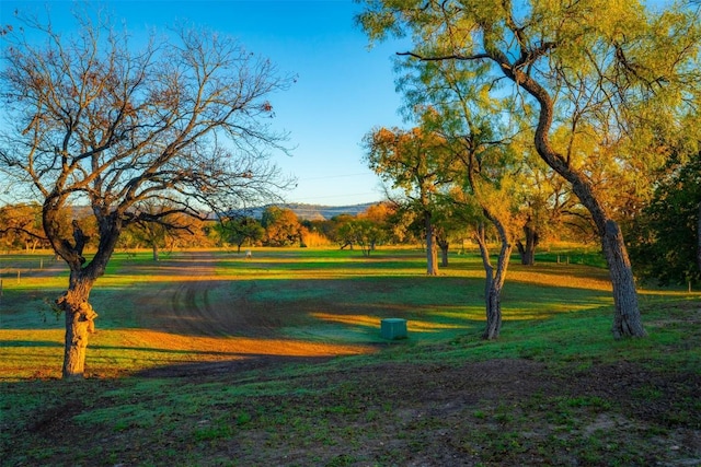 view of home's community featuring a lawn