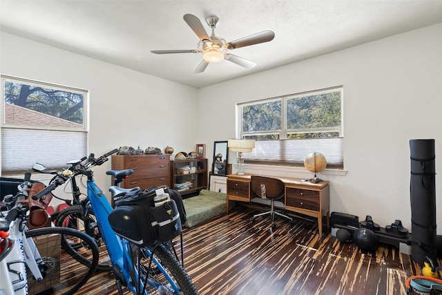 office featuring ceiling fan