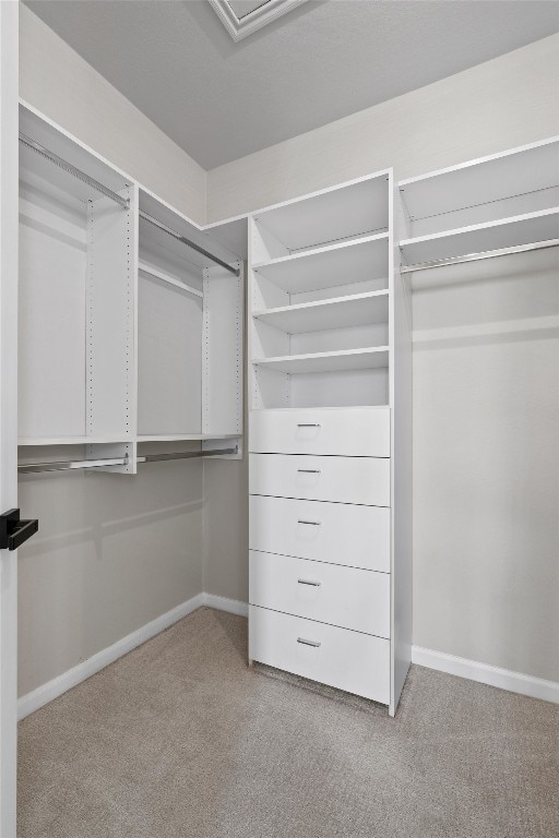 spacious closet featuring carpet floors