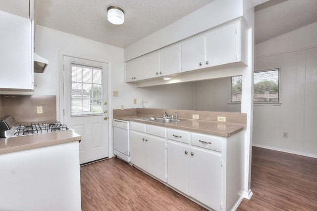 kitchen with a sink, light wood-type flooring, dishwasher, and light countertops