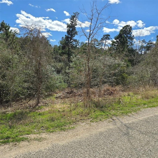 Listing photo 3 for TBD Adele Dr, Bastrop TX 78602