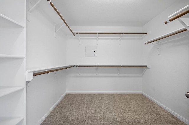 spacious closet with electric panel, carpet, and attic access