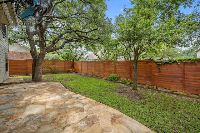 view of yard featuring a fenced backyard and a patio