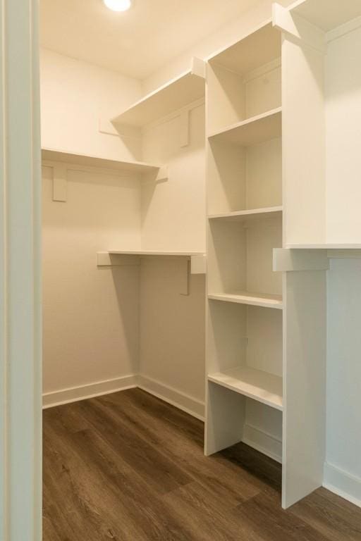 spacious closet featuring dark wood-style flooring