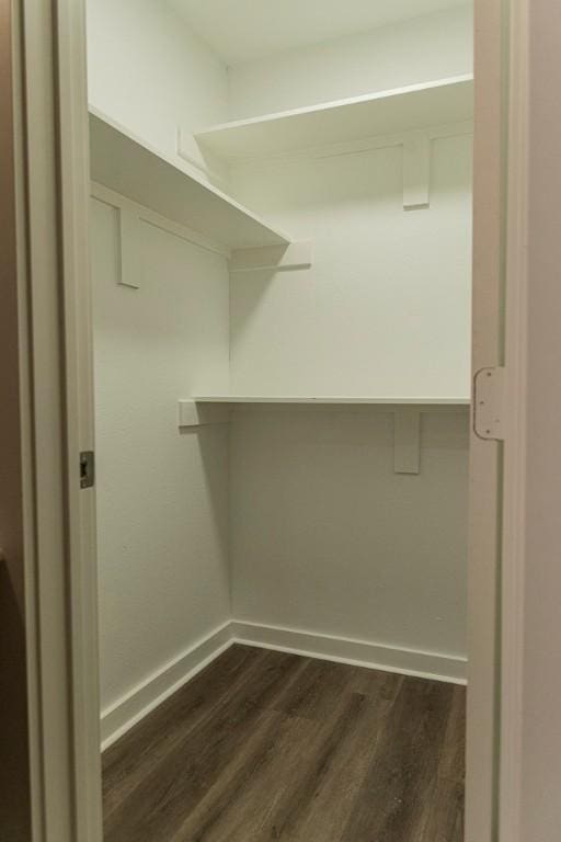 walk in closet featuring dark wood-style flooring