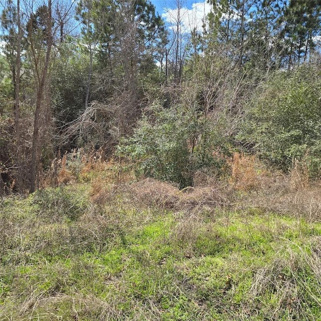 Listing photo 3 for TBD N Kanaio Dr, Bastrop TX 78602