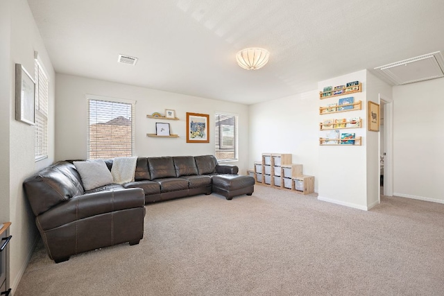 102 Tokalaun Dr, Hutto, TX 78634 - living room with carpet floors and attic access