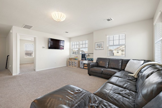 102 Tokalaun Dr, Hutto, TX 78634 - carpeted living area with baseboards