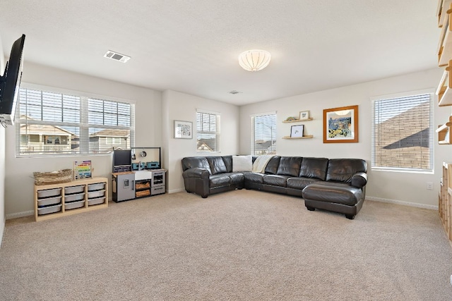 102 Tokalaun Dr, Hutto, TX 78634 - living room featuring carpet floors