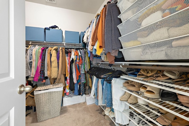 102 Tokalaun Dr, Hutto, TX 78634 - walk in closet with carpet floors