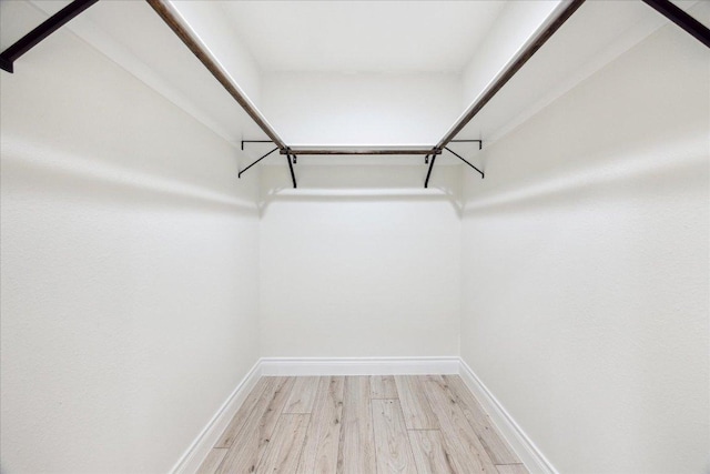 spacious closet featuring light wood finished floors