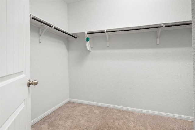 spacious closet featuring light carpet