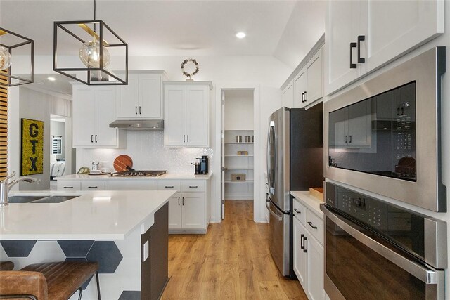 kitchen featuring under cabinet range hood, stainless steel appliances, light countertops, and a sink