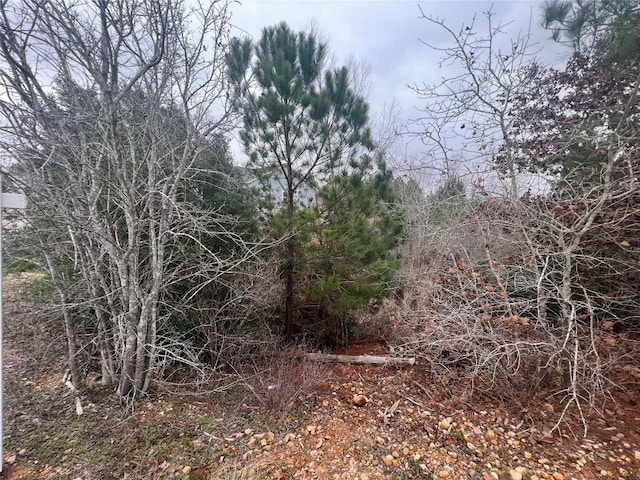TBD Ori Court, Bastrop, TX 78602