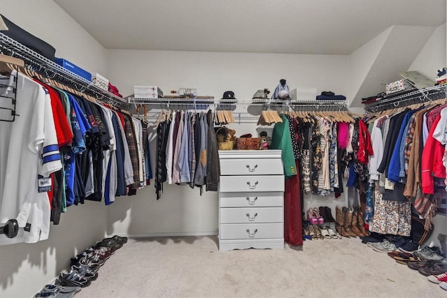 spacious closet featuring carpet