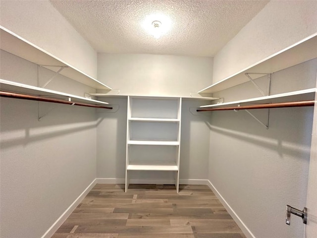 walk in closet featuring wood finished floors