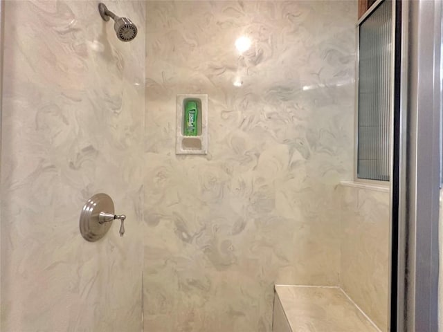 interior details featuring walk in shower