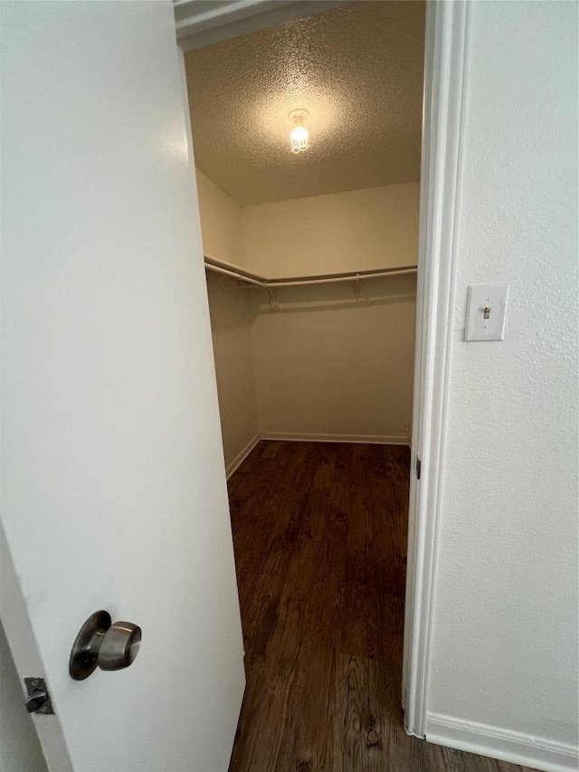 walk in closet featuring wood finished floors