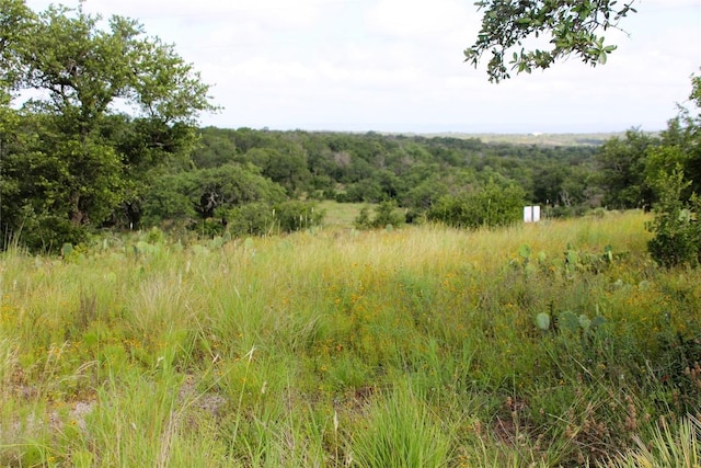 LOT5 Comanche Rdg, Round Mountain TX, 78663 land for sale