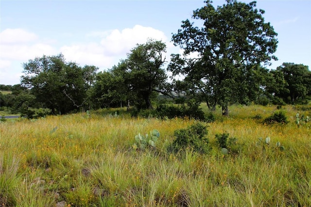 Listing photo 3 for LOT5 Comanche Rdg, Round Mountain TX 78663