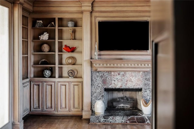 room details featuring wood finished floors and a premium fireplace