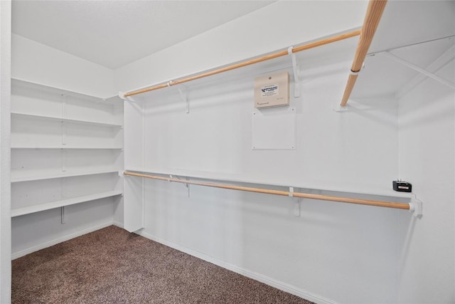 walk in closet with dark colored carpet