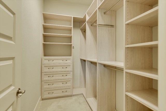 walk in closet featuring light carpet