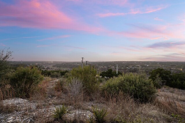 1724 Night Life Cv, Spicewood, TX 78669