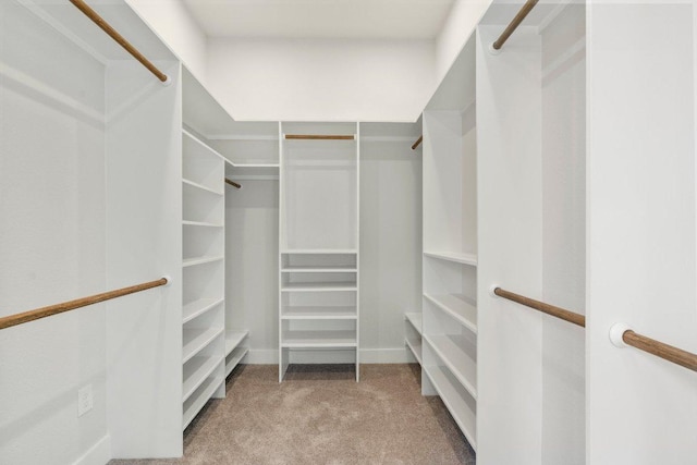 walk in closet featuring carpet