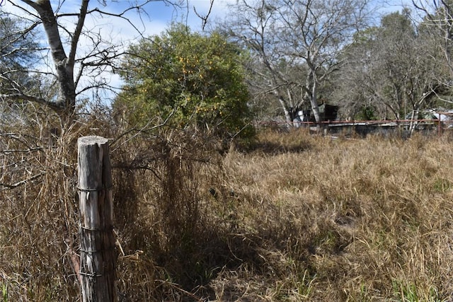 3200 N State Highway 16, Jourdanton, TX 78026 - view of yard